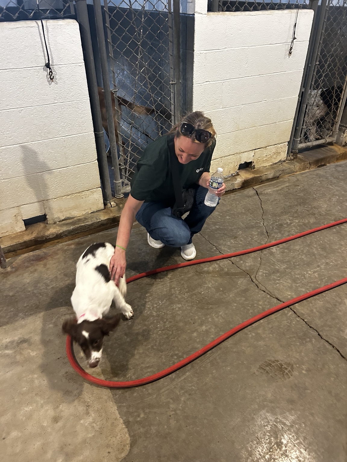 Anna Brown taking a puppy break during the NILO Farms event